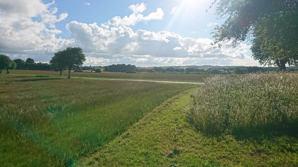 vielsted-langdysse-15.jpeg