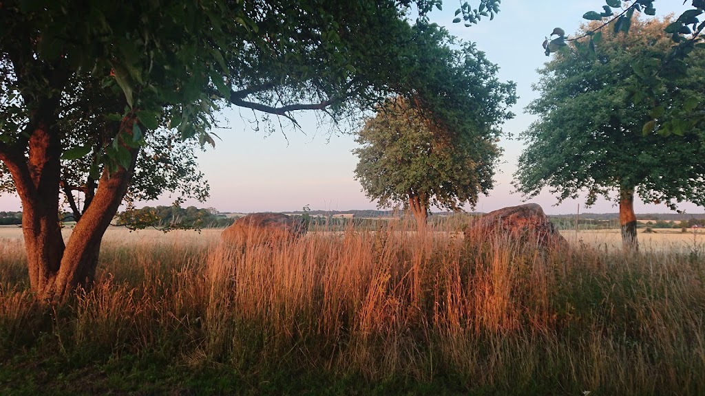 vielsted-langdysse-3.jpeg