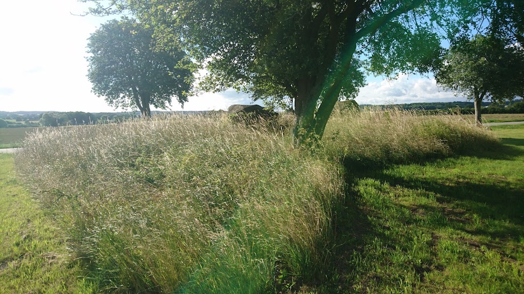 vielsted-langdysse-4.jpeg