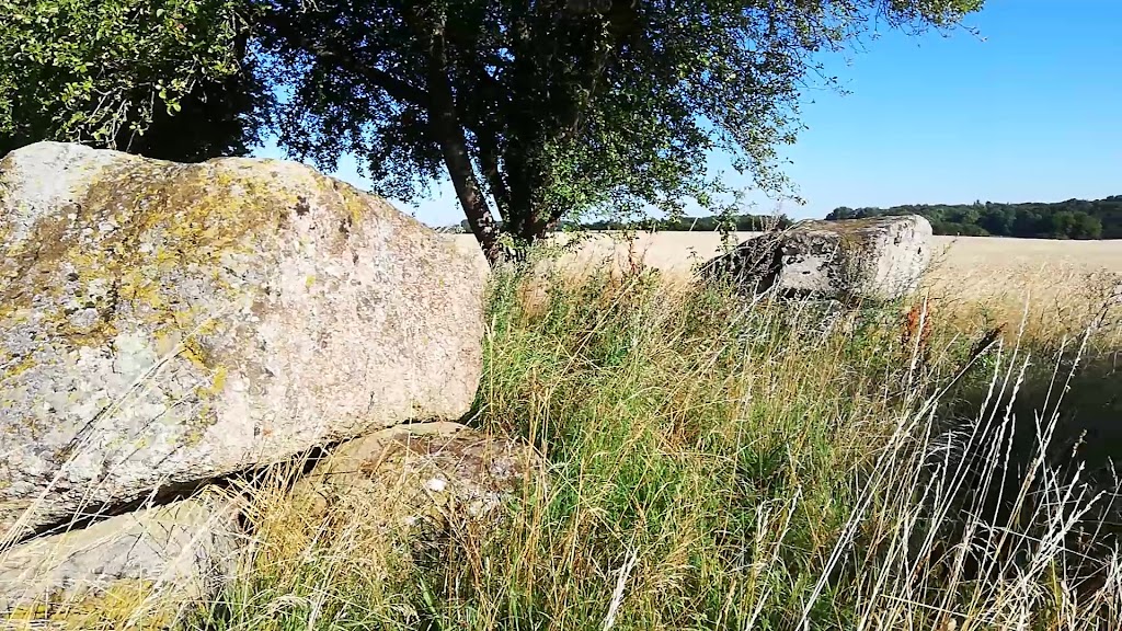 vielsted-langdysse-7.jpeg