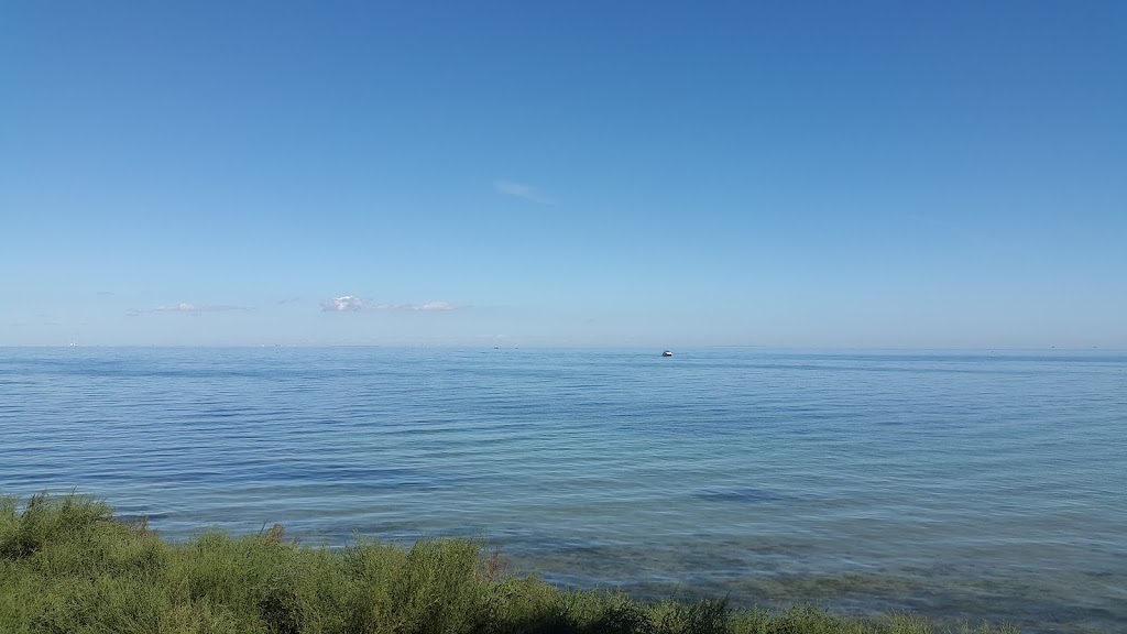 traktorstedet-gjorslev-bogeskov-17.jpeg
