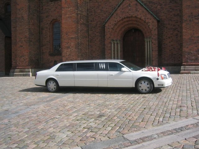 midtsjaellands-limousinekorsel-1.jpeg