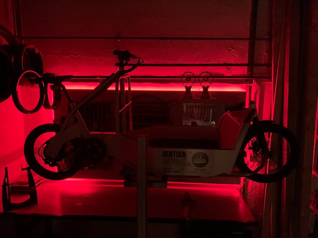 asasara-cargobikes-aps-7.jpeg