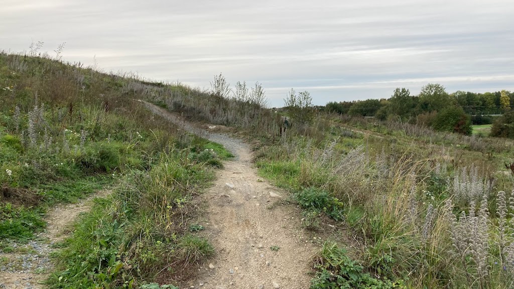 albertslund-mtb-spor-15.jpeg