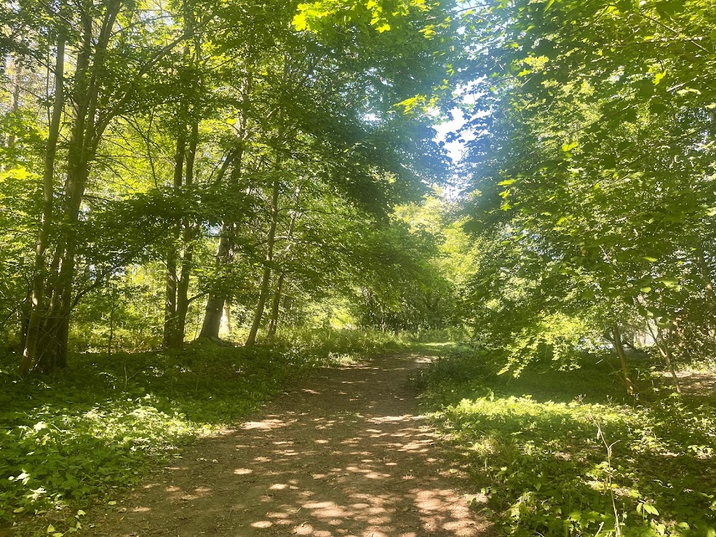 balplads-hakkemosen-2.jpeg