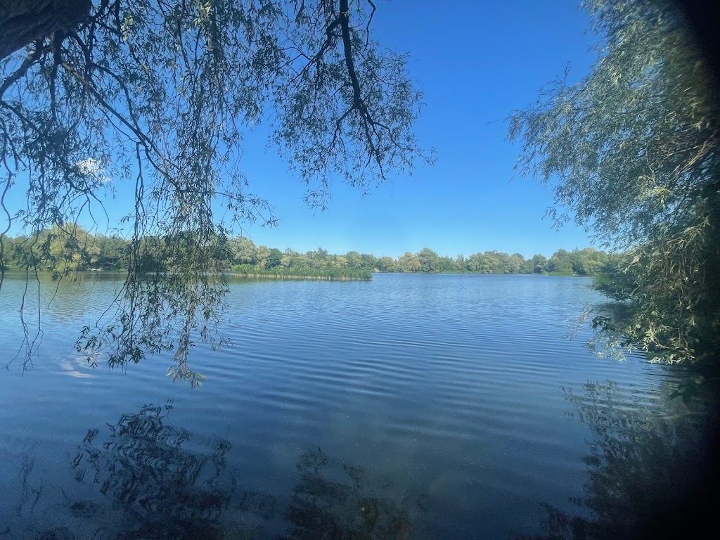 balplads-hakkemosen-4.jpeg