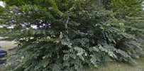 balplads-hakkemosen-9.jpeg