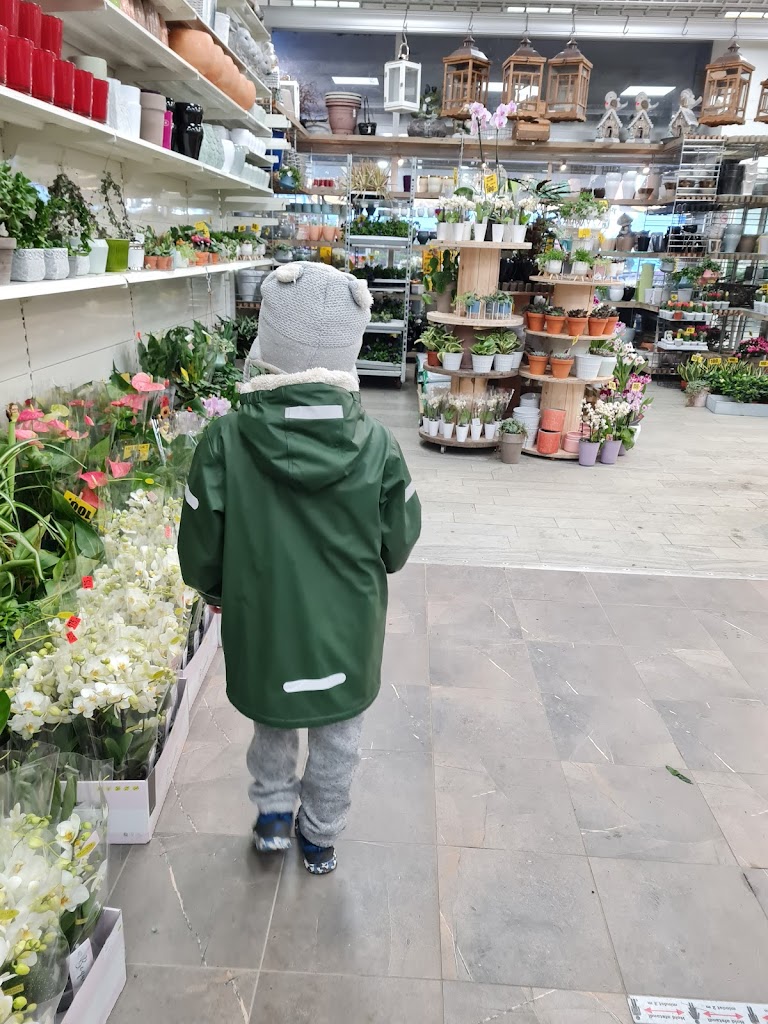 blomstertorv-7.jpeg