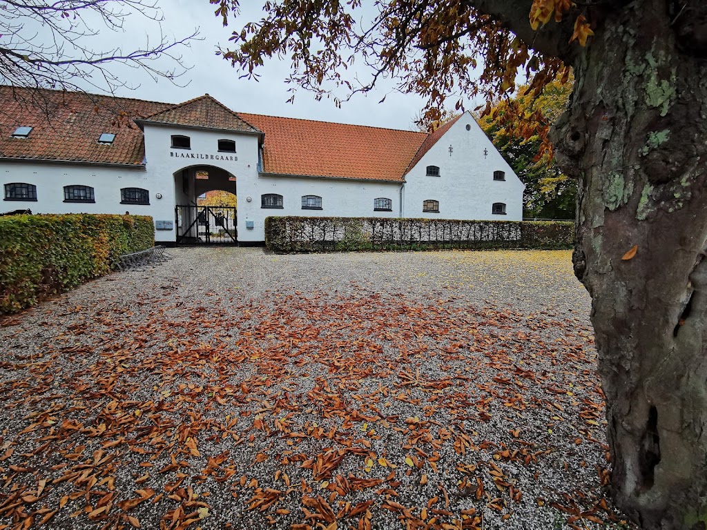 byhistorisk-samling-og-arkiv-3.jpeg