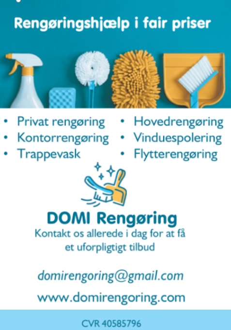 domi-rengoring-3.jpeg
