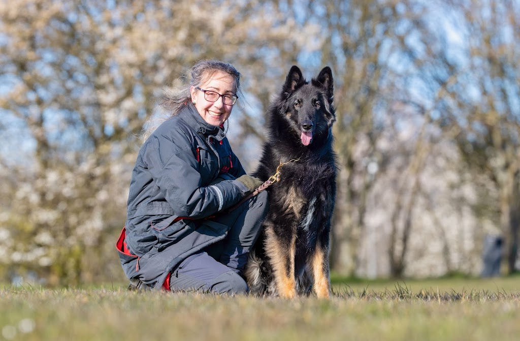 holistisk-hundetraening-0.jpeg
