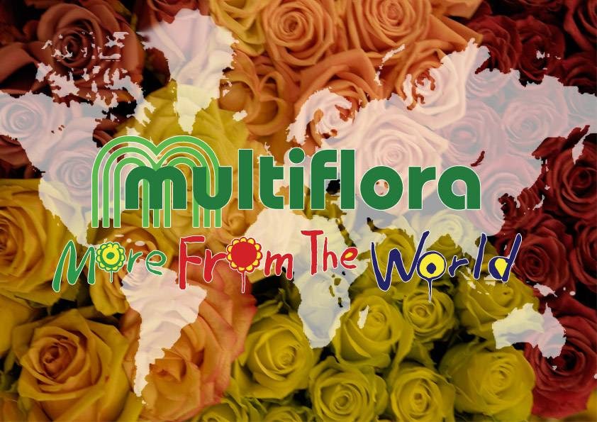 multiflora-a-s-1.jpeg