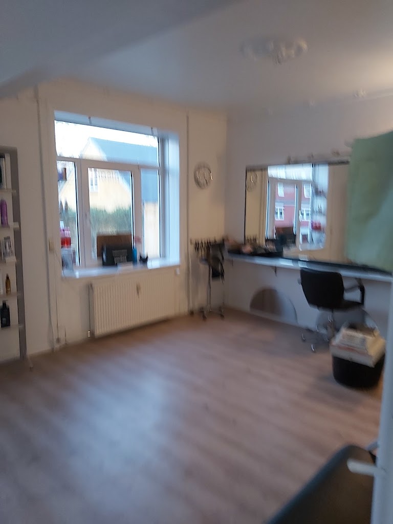 salon-rose-10.jpeg