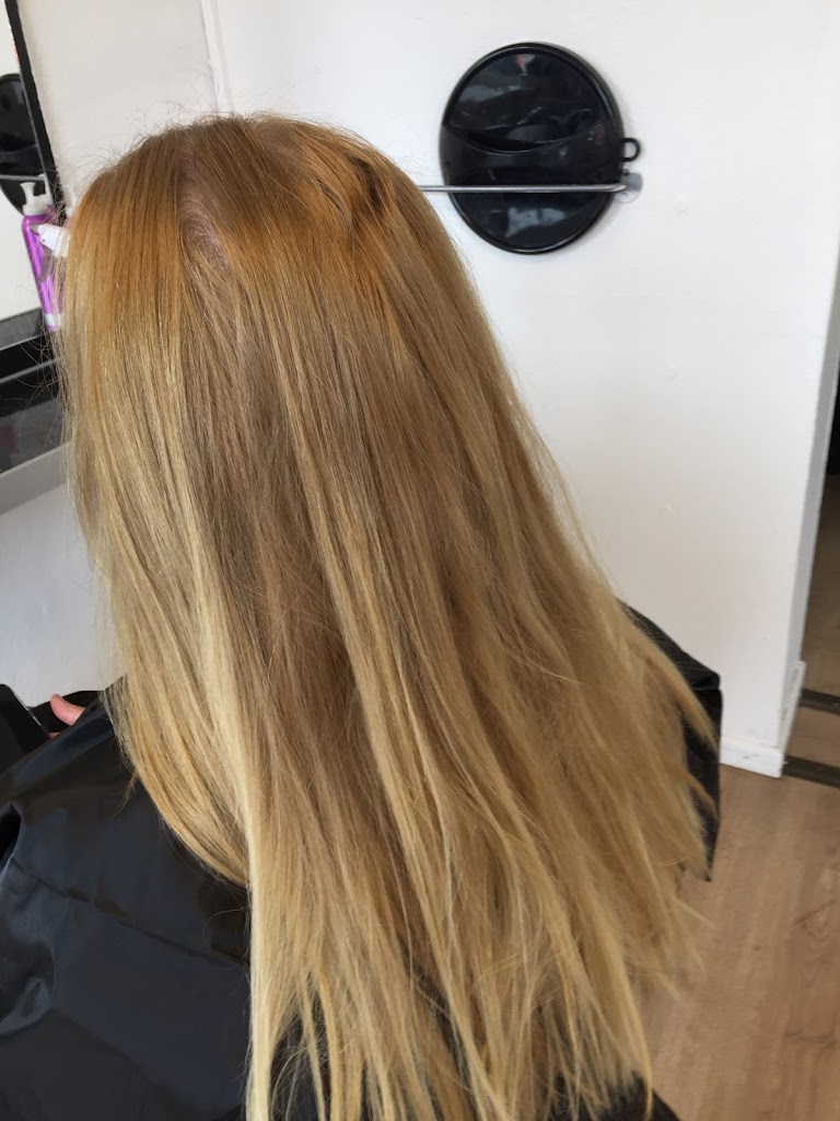 salon-rose-14.jpeg