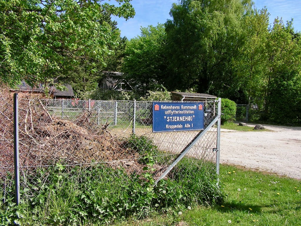 stjernehoj-1.jpeg