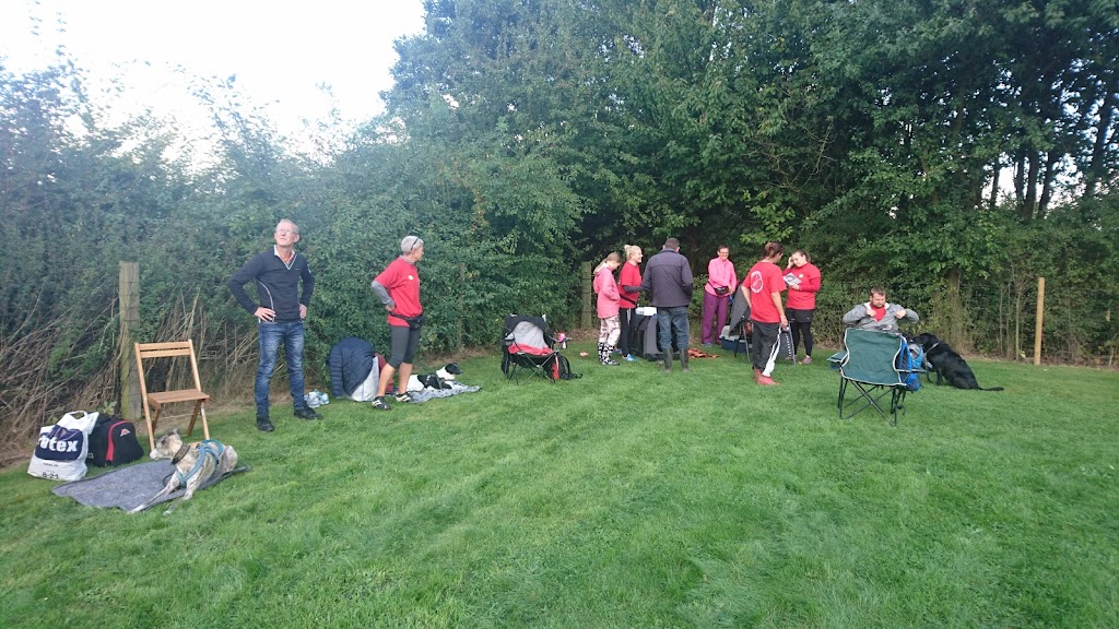 taastrup-agility-club-thanks-10.jpeg