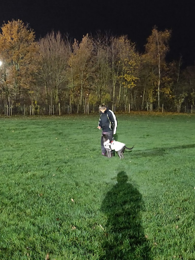 taastrup-agility-club-thanks-11.jpeg