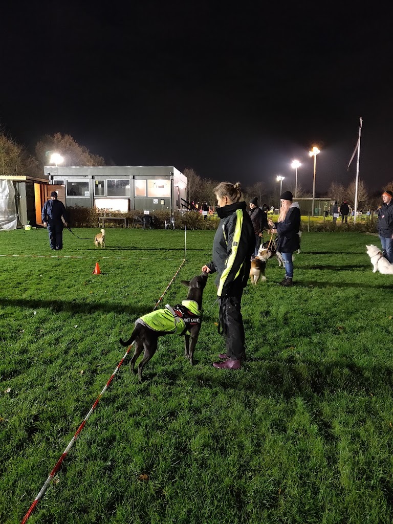taastrup-agility-club-thanks-12.jpeg