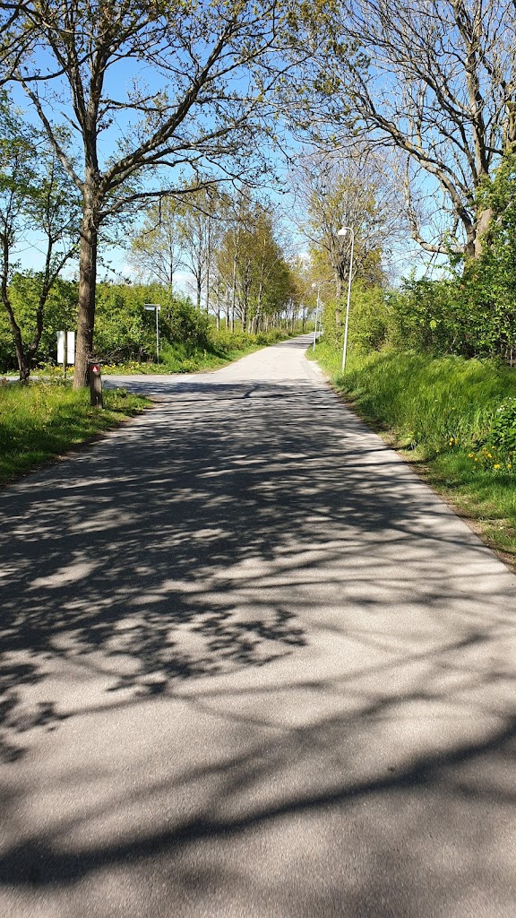 taastrup-agility-club-thanks-13.jpeg