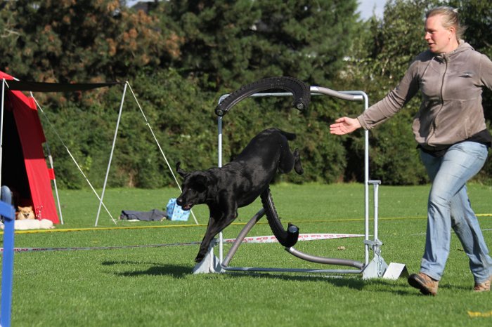 taastrup-agility-club-thanks-14.jpeg