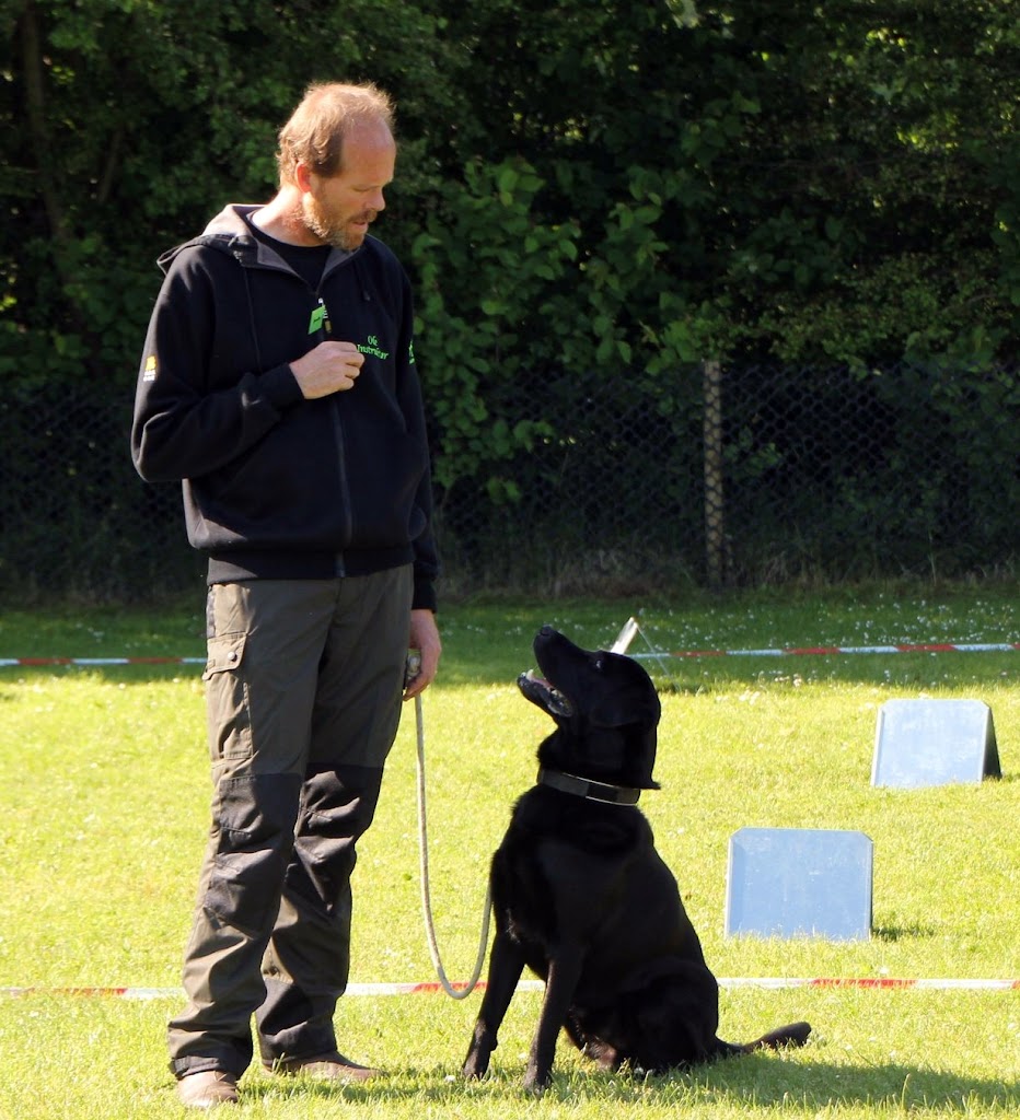 taastrup-agility-club-thanks-5.jpeg