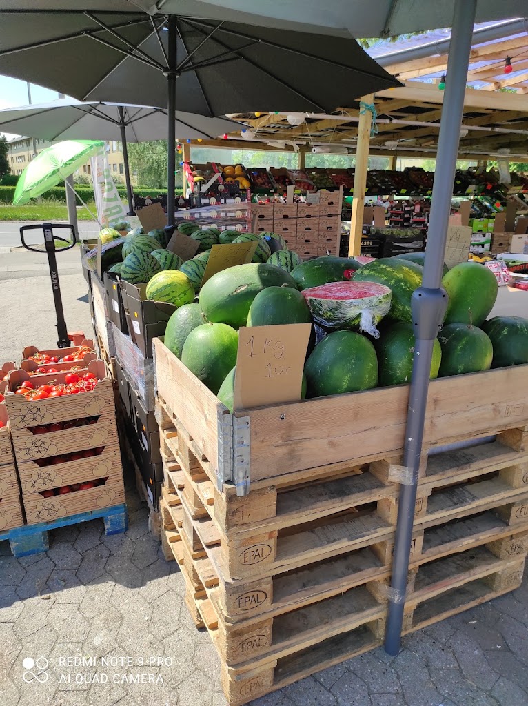 taastrup-bazar-1.jpeg