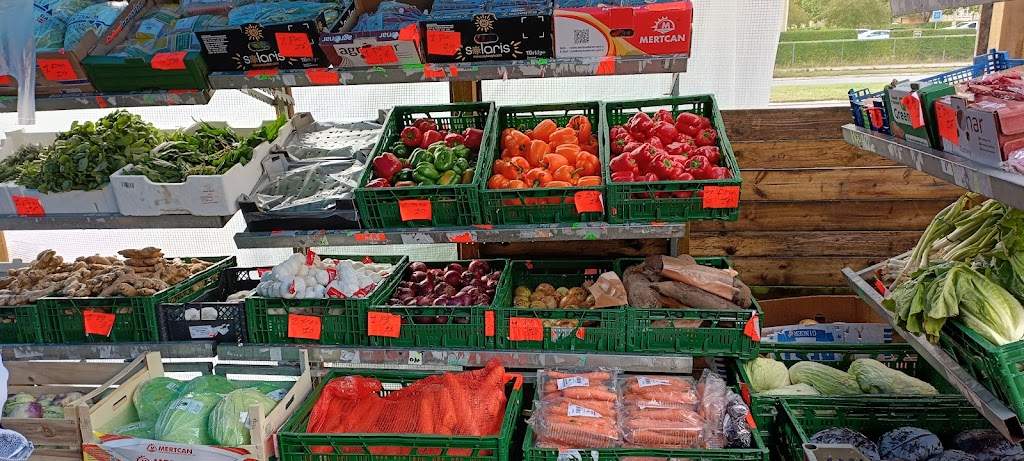 taastrup-bazar-12.jpeg