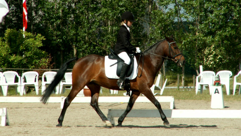 vestegnens-rideklub-12.jpeg