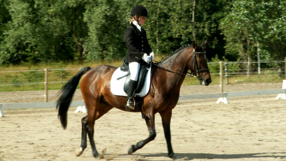 vestegnens-rideklub-13.jpeg