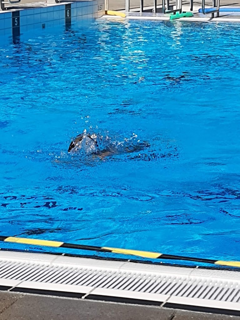 ugerlose-friluftsbad-2.jpeg