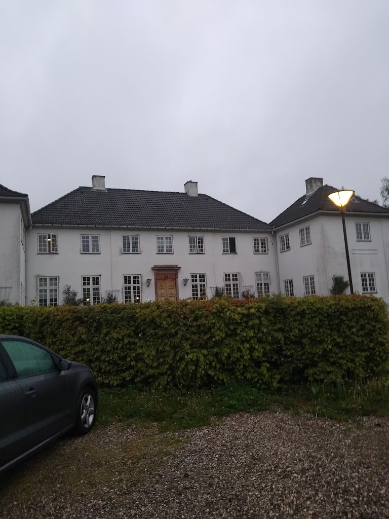 baunegard-2.jpeg