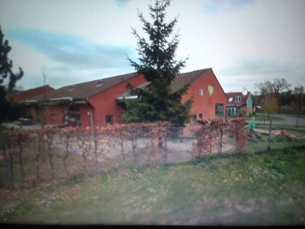 bornehuset-bogely-0.jpeg