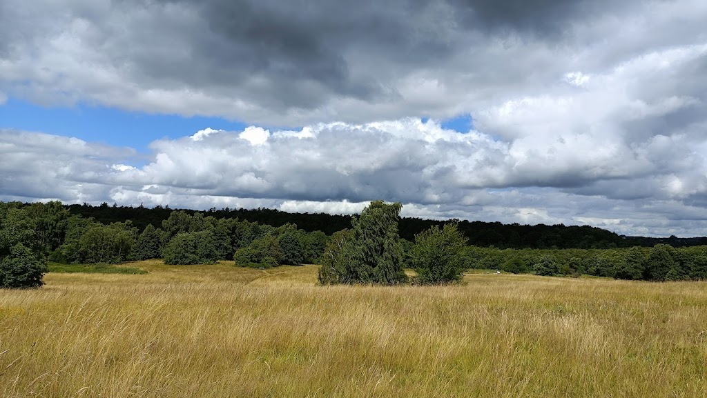den-gamle-golfbane-parkeringspladsen-17.jpeg