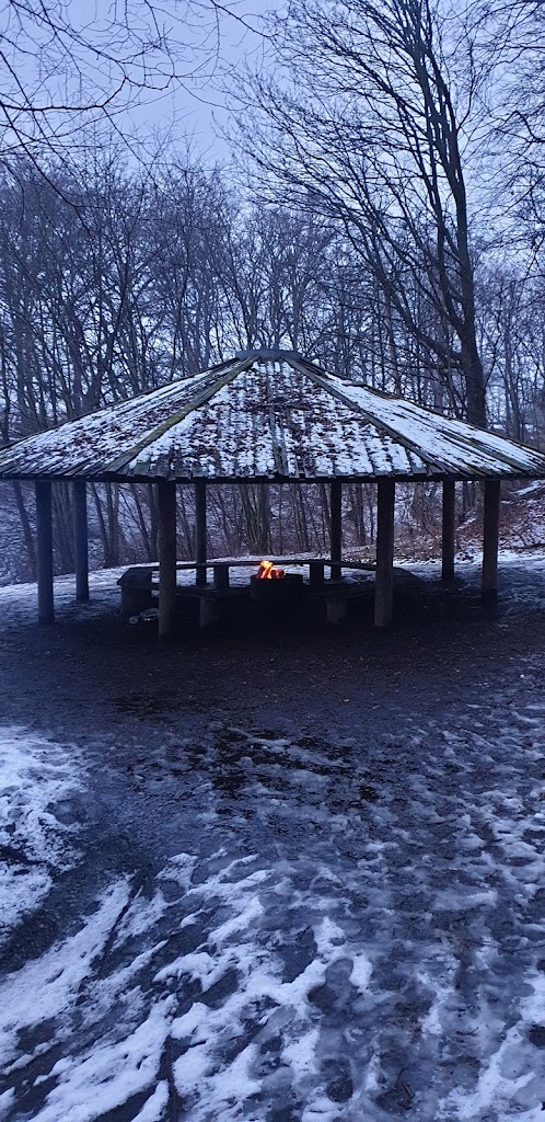 fiskebaek-naturskole-16.jpeg