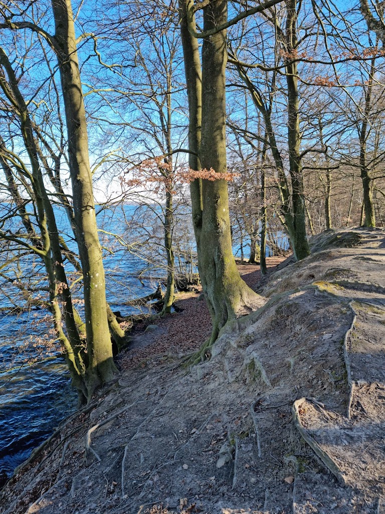 fiskebaek-naturskole-4.jpeg