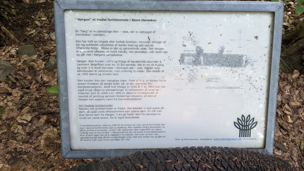 horgen-0.jpeg