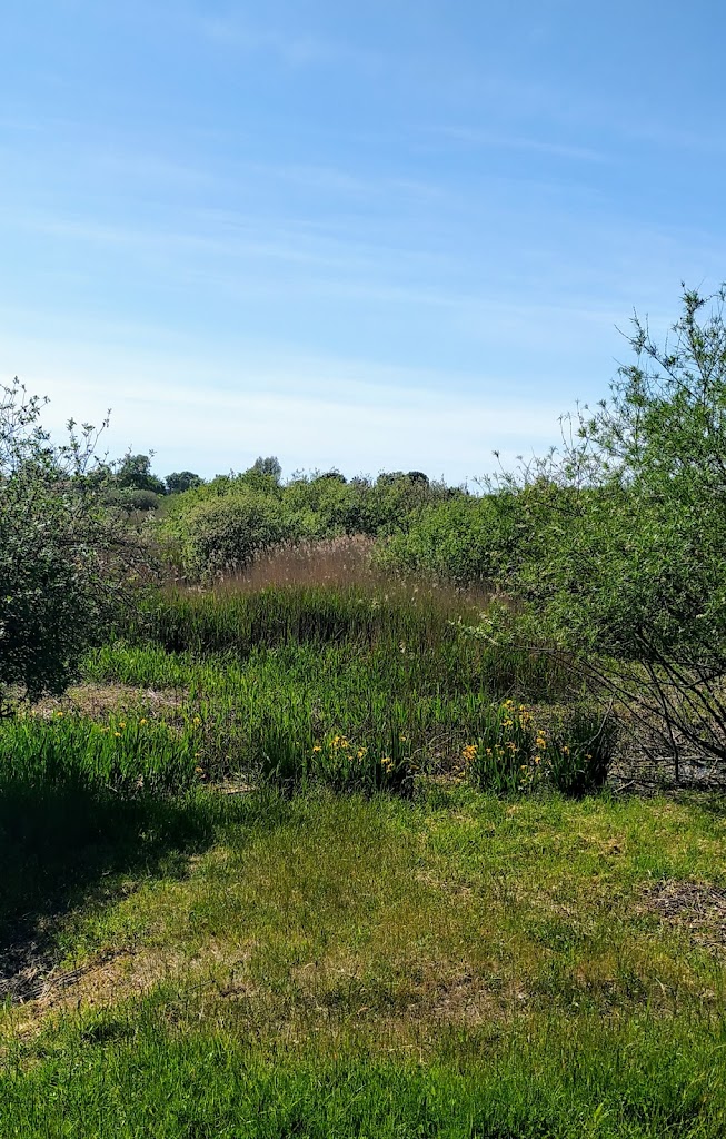 landingsbanen-flyvestation-vaerlose-4.jpeg