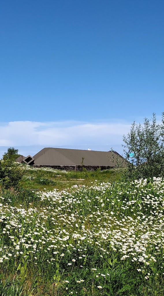 landingsbanen-flyvestation-vaerlose-8.jpeg