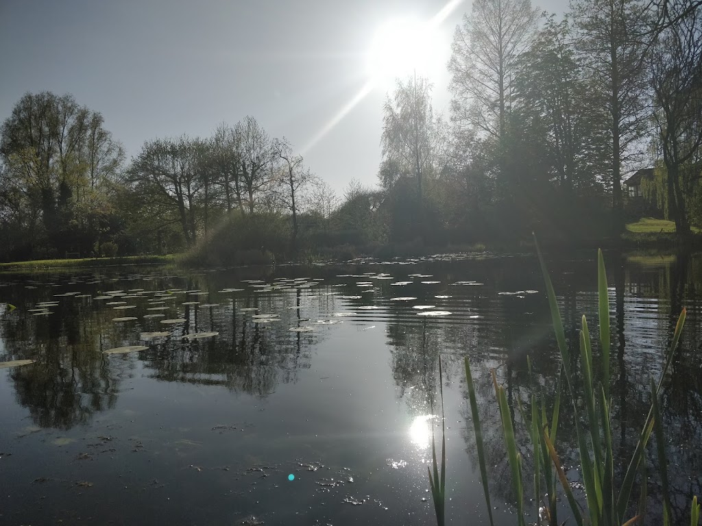 niedersoe-3.jpeg