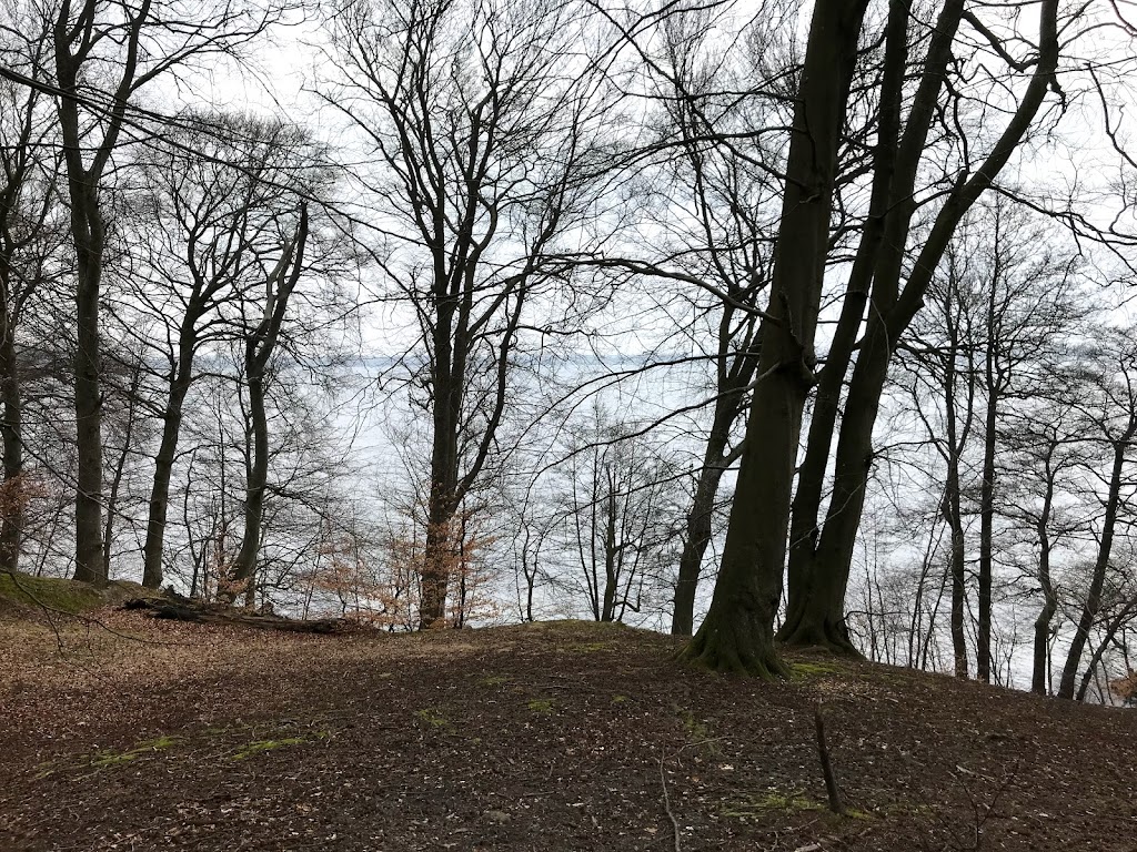 shelter-in-asevang-4.jpeg
