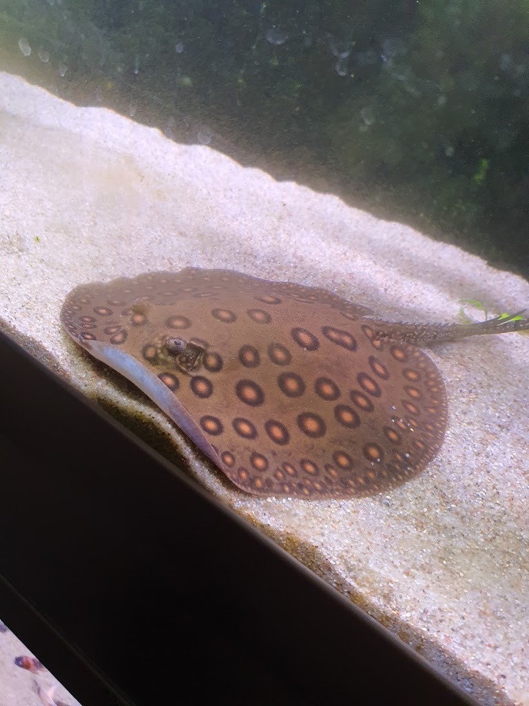zoo-center-vaerlose-2.jpeg