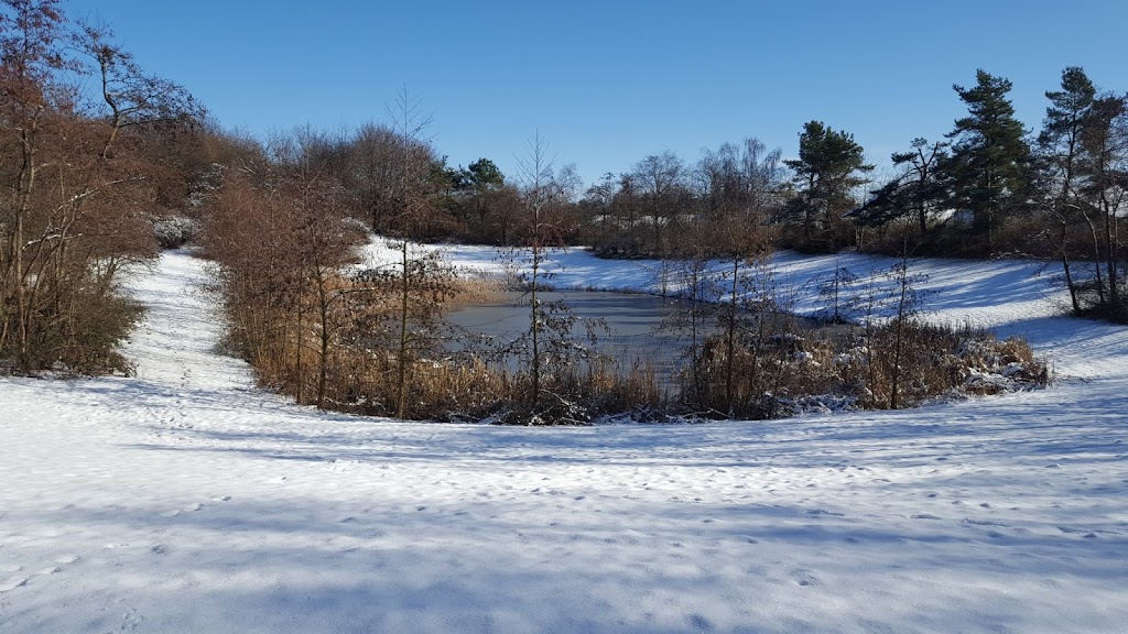 park-14.jpeg