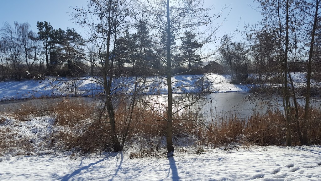 park-5.jpeg