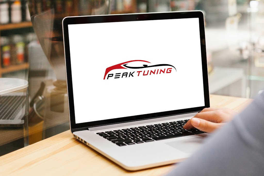 peaktuning-dk-10.jpeg