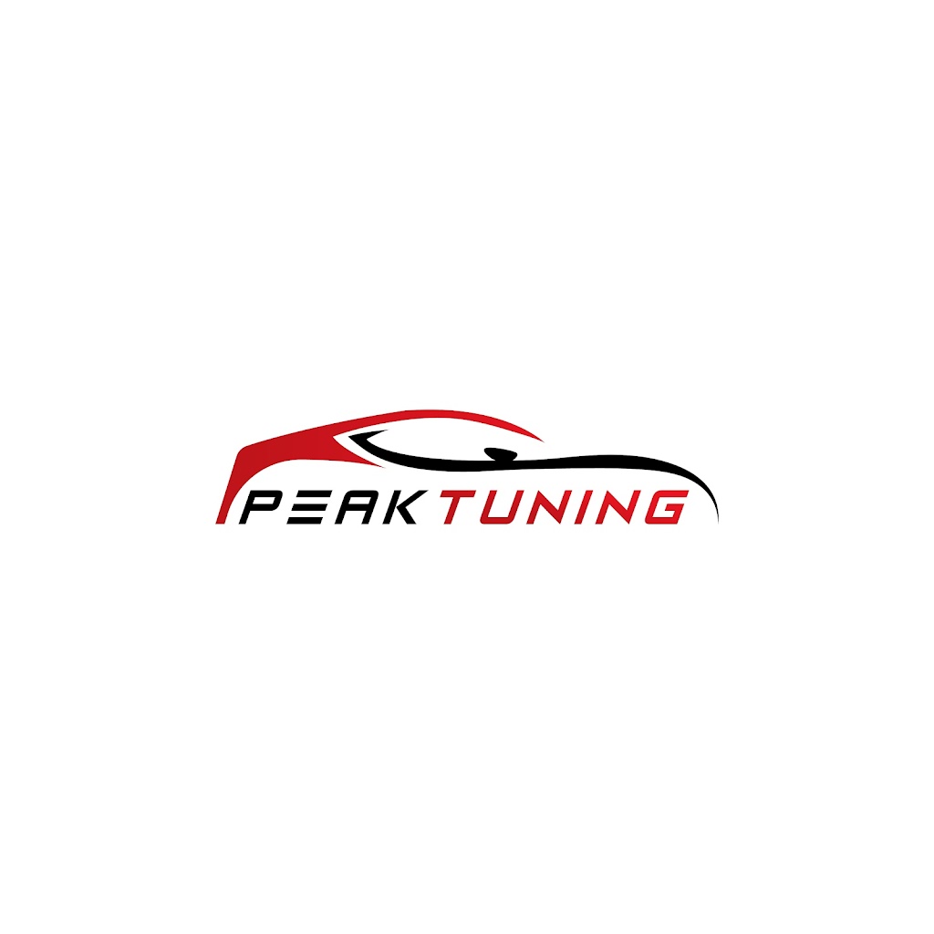 peaktuning-dk-12.jpeg