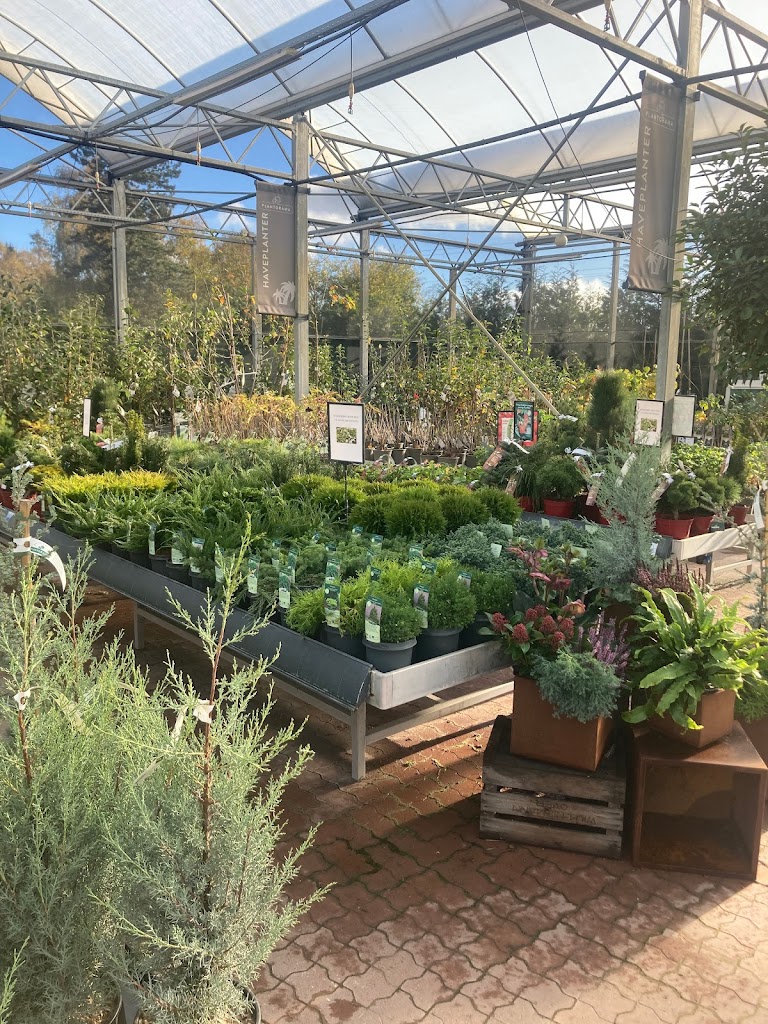 plantorama-vallensbaek-12.jpeg