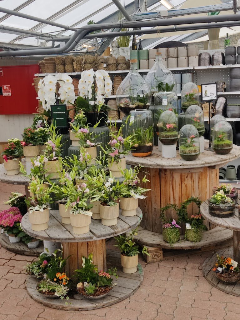 plantorama-vallensbaek-3.jpeg