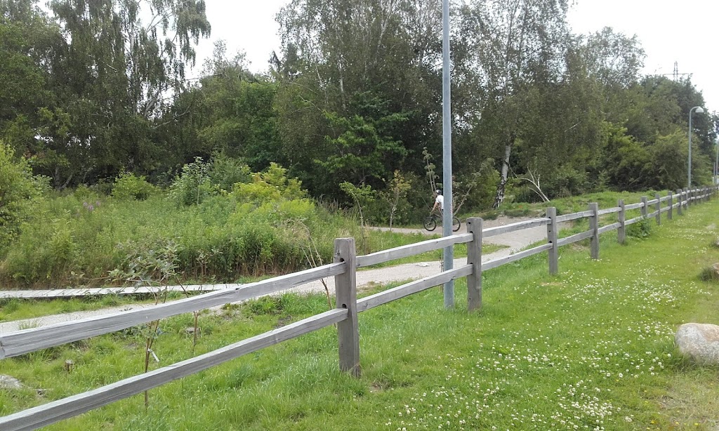 vallensbaek-bikepark-11.jpeg