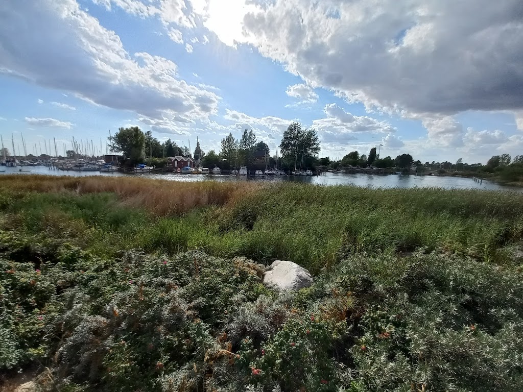 vallensbaek-strandpark-15.jpeg