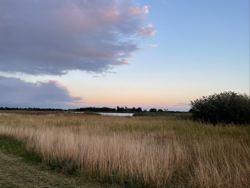 vallensbaek-strandpark-9.jpeg